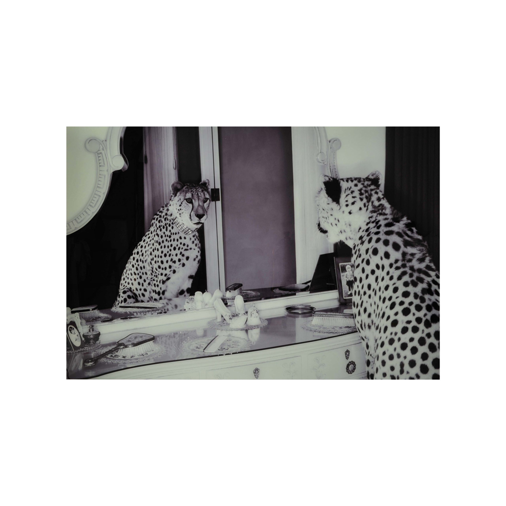 NFG - Bild Cheeta I Spegel, Glas, 100×150 Cm