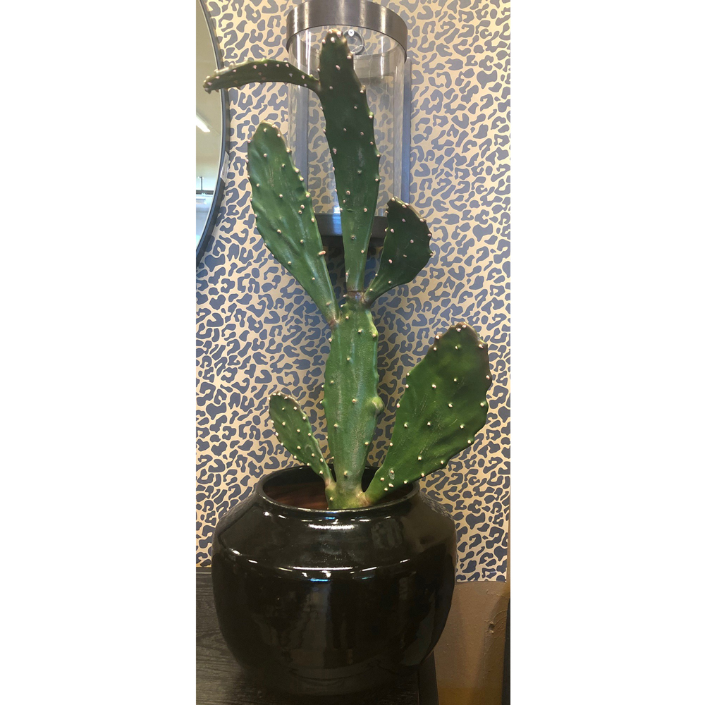 NFG - Verde Kaktus