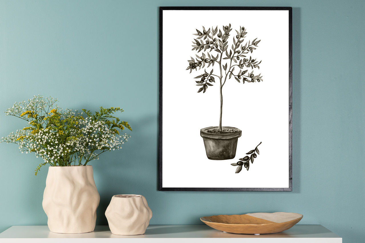 Poster Olive - 21X30