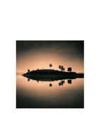Artwood - Sunset Island - 100X100, Plexiglas