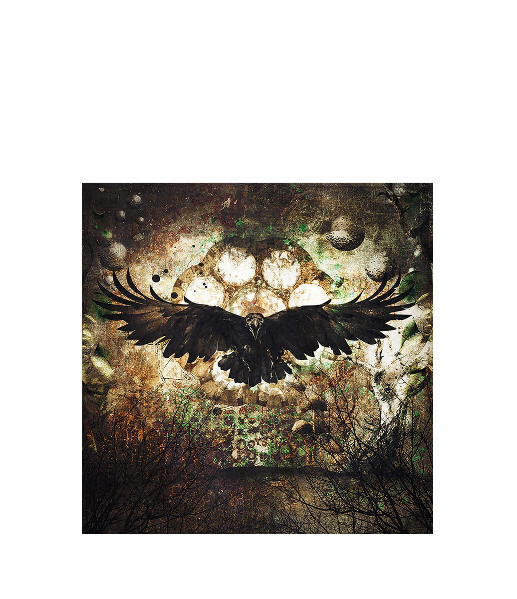 Artwood - Raven - 150X150, Plexiglas