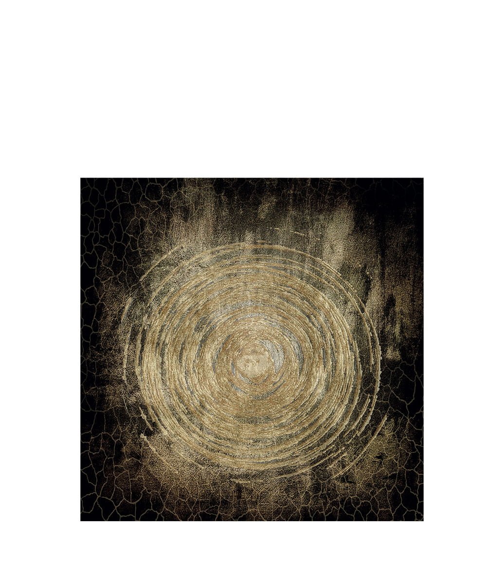 Artwood - Circle Of Life - 100X100, Plexiglas